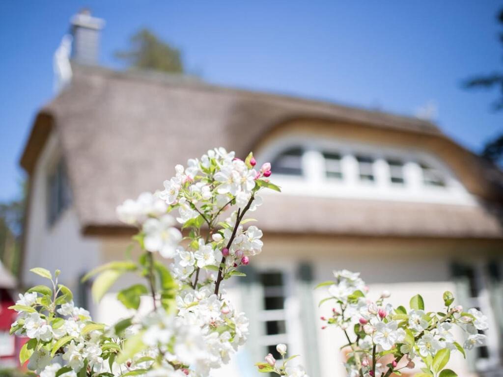 Holiday Home Reet-Seaside Glowe Exterior foto
